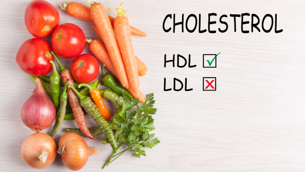 cholesterol HDL LDL